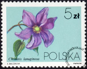 Powojniki - Clematis znaczek numer 2758