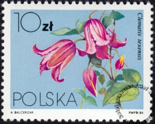 Powojniki - Clematis znaczek numer 2760