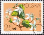 Powojniki - Clematis znaczek numer 2762