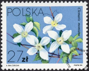 Powojniki - Clematis znaczek numer 2763