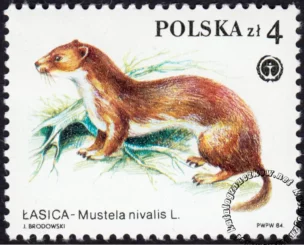 Chronione zwierzęta futerkowe znaczek numer 2798