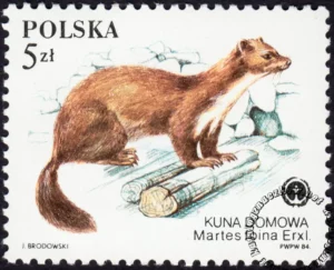 Chronione zwierzęta futerkowe znaczek numer 2799