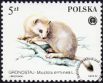 Chronione zwierzęta futerkowe znaczek numer 2800