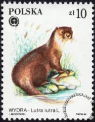 Chronione zwierzęta futerkowe znaczek numer 2802
