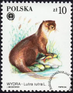Chronione zwierzęta futerkowe znaczek numer 2802