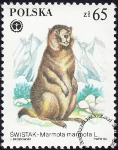 Chronione zwierzęta futerkowe znaczek numer 2803