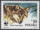 Dzikie zwierzęta chronione - wilk - 2829