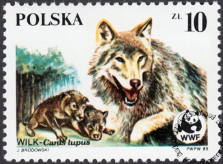 Dzikie zwierzęta chronione - wilk znaczek numer 2828