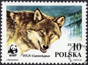 Dzikie zwierzęta chronione - wilk znaczek numer 2829