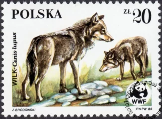 Dzikie zwierzęta chronione - wilk znaczek numer 2830