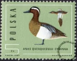 Ptaki - dzikie kaczki znaczek numer 2851