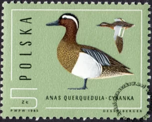 Ptaki - dzikie kaczki znaczek numer 2851