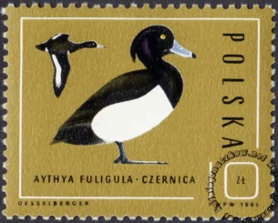 Ptaki - dzikie kaczki znaczek numer 2852