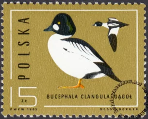 Ptaki - dzikie kaczki znaczek numer 2853