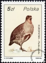 Ptactwo i zwierzyna łowna znaczek numer 2871