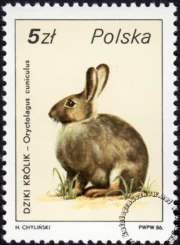 Ptactwo i zwierzyna łowna znaczek numer 2872