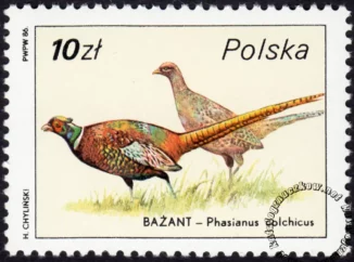 Ptactwo i zwierzyna łowna znaczek numer 2873