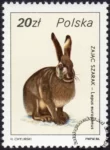Ptactwo i zwierzyna łowna znaczek numer 2875
