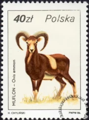 Ptactwo i zwierzyna łowna znaczek numer 2876