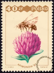 XXXI Międzynarodowy kongres Pszczelarski Apinodia 87 znaczek numer 2962