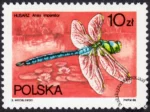 Ważki polskie znaczek numer 2986