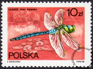 Ważki polskie znaczek numer 2986