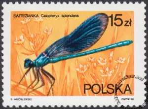 Ważki polskie znaczek numer 2988