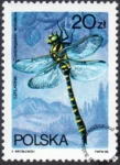 Ważki polskie znaczek numer 2989