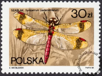 Ważki polskie znaczek numer 2990