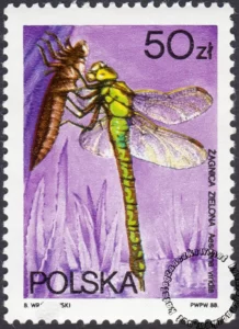 Ważki polskie znaczek numer 2991