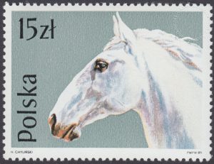 Konie - 3042