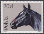 Konie - 3044