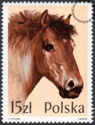 Konie znaczek numer 3043