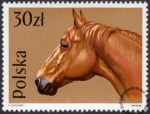 Konie znaczek numer 3046