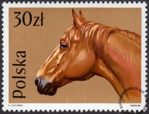Konie znaczek numer 3046
