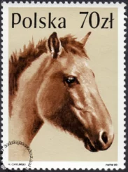 Konie znaczek numer 3047