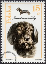 Psy myśliwskie znaczek numer 3049