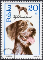Psy myśliwskie znaczek numer 3051