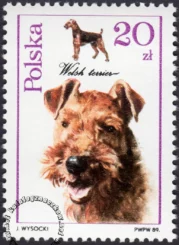 Psy myśliwskie znaczek numer 3052