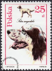 Psy myśliwskie znaczek numer 3053