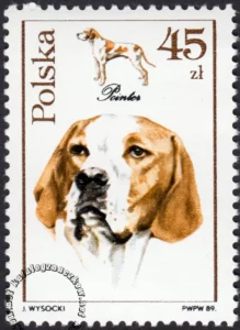 Psy myśliwskie znaczek numer 3054