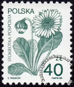 Rośliny lecznicze numer 3066