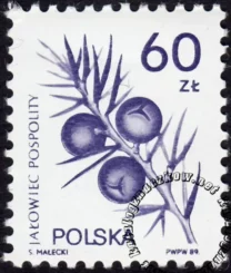 Rośliny lecznicze numer 3067