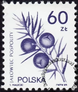 Rośliny lecznicze numer 3067