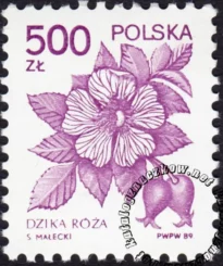 Rośliny lecznicze znaczek numer 3097