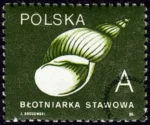 Ślimaki i małże znaczek numer 3124