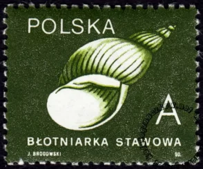 Ślimaki i małże znaczek numer 3124