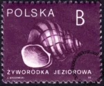 Ślimaki i małże znaczek numer 3125