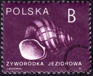 Ślimaki i małże znaczek numer 3125