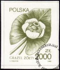 Rośliny lecznicze znaczek numer 3129